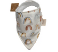Rainbow Bandana Bib